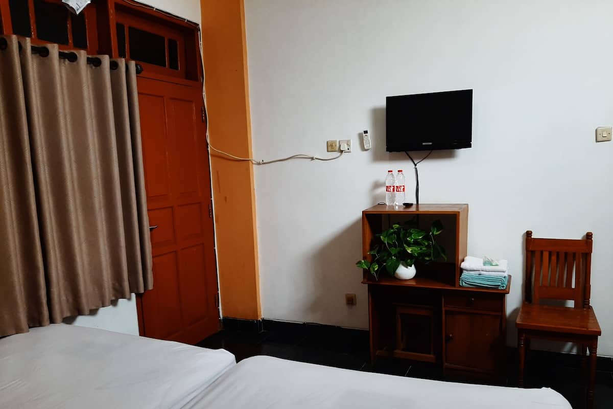 Une chambre d’hôtel avec deux lits, un téléviseur fixé au mur, une petite table en bois avec une plante et des serviettes, et une chaise en bois.