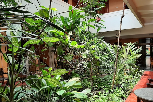 Kamar Double atau Twin Deluks, 1 Tempat Tidur Double atau 2 Tempat Tidur Twin, Bebas Asap Rokok (AC) | Teras/patio