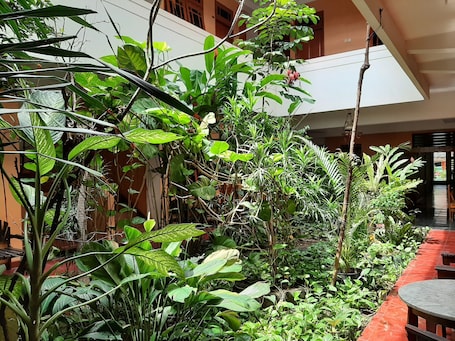 Deluxe Double or Twin Room, 1 Double or 2 Twin Beds, Non Smoking (AC) | Terrace/patio. Hotel Dana Jogja