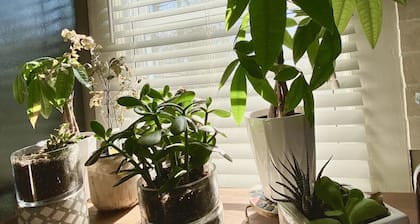 Pet Friendly Small House in the Heart of Paducah