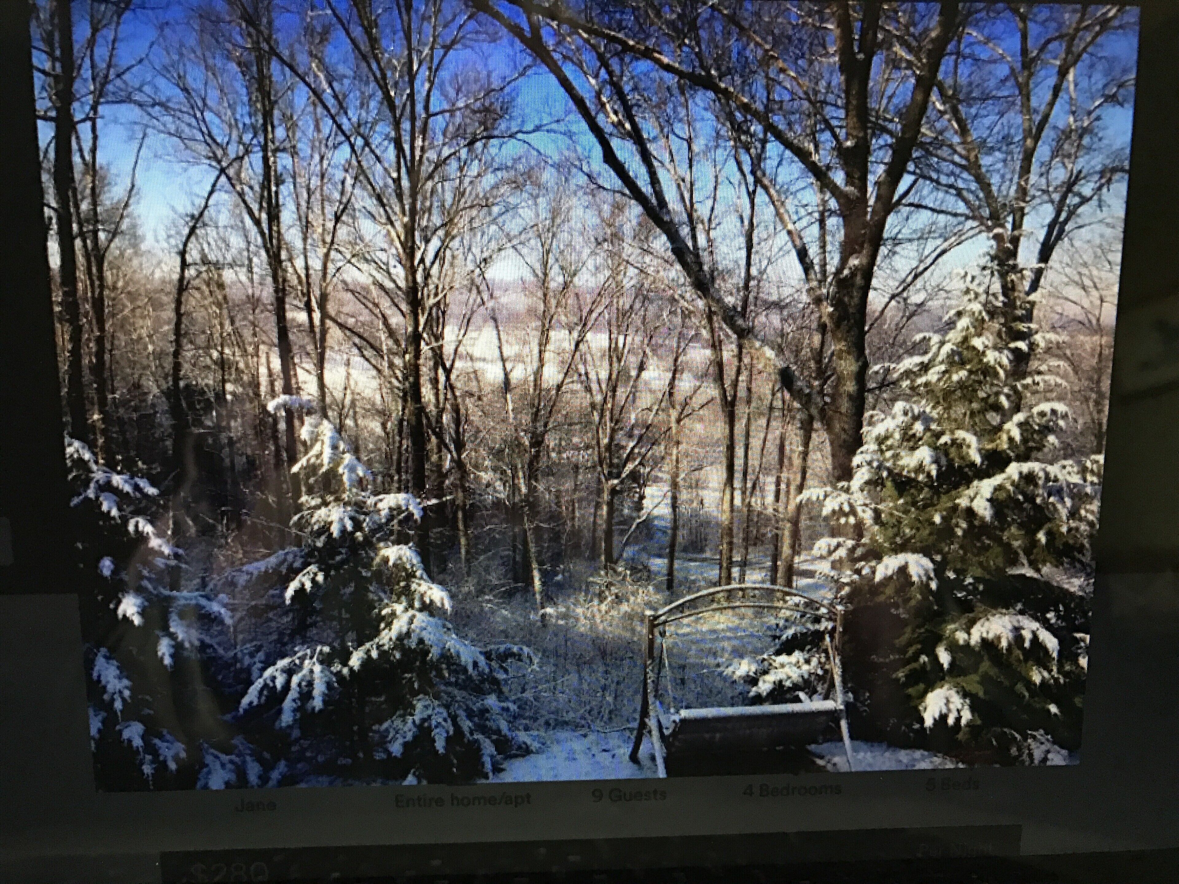 A winter wonderland