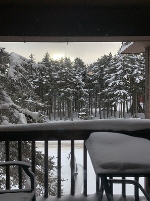 Property grounds - Snowshoe, WV Jan Avail - 1 Bdrm - Sleeps 4 (Snowshoe)