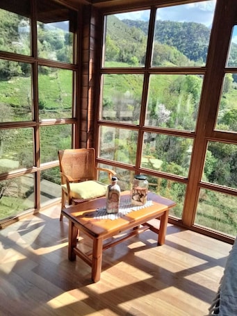Interior. BELMONTE HELENA HOUSE