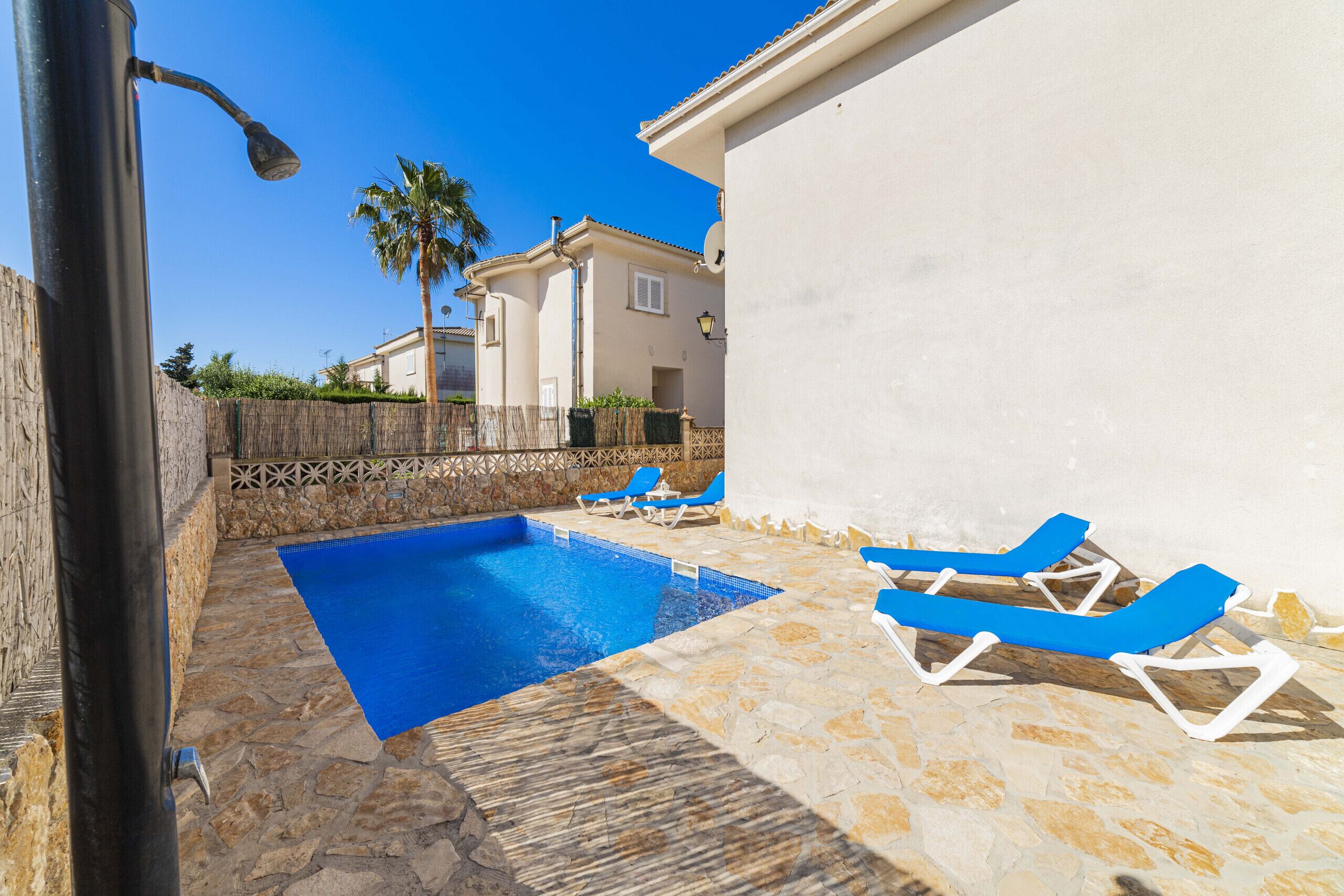 A swimming pool with blue water, surrounded by stone tiles and white walls. There are blue lounge chairs and a palm tree in the background.