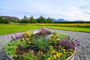 Summer Flowers in the Courtyard