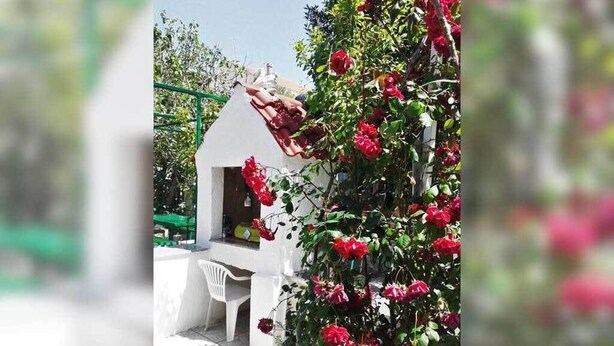 En lille hvid bygning med rødt tag, en hvid stol og en busk med røde blomster.