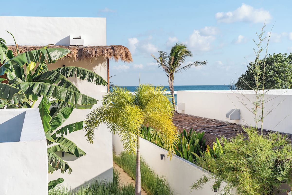 A white building with a thatched roof, surrounded by tropical plants and a view of the ocean.