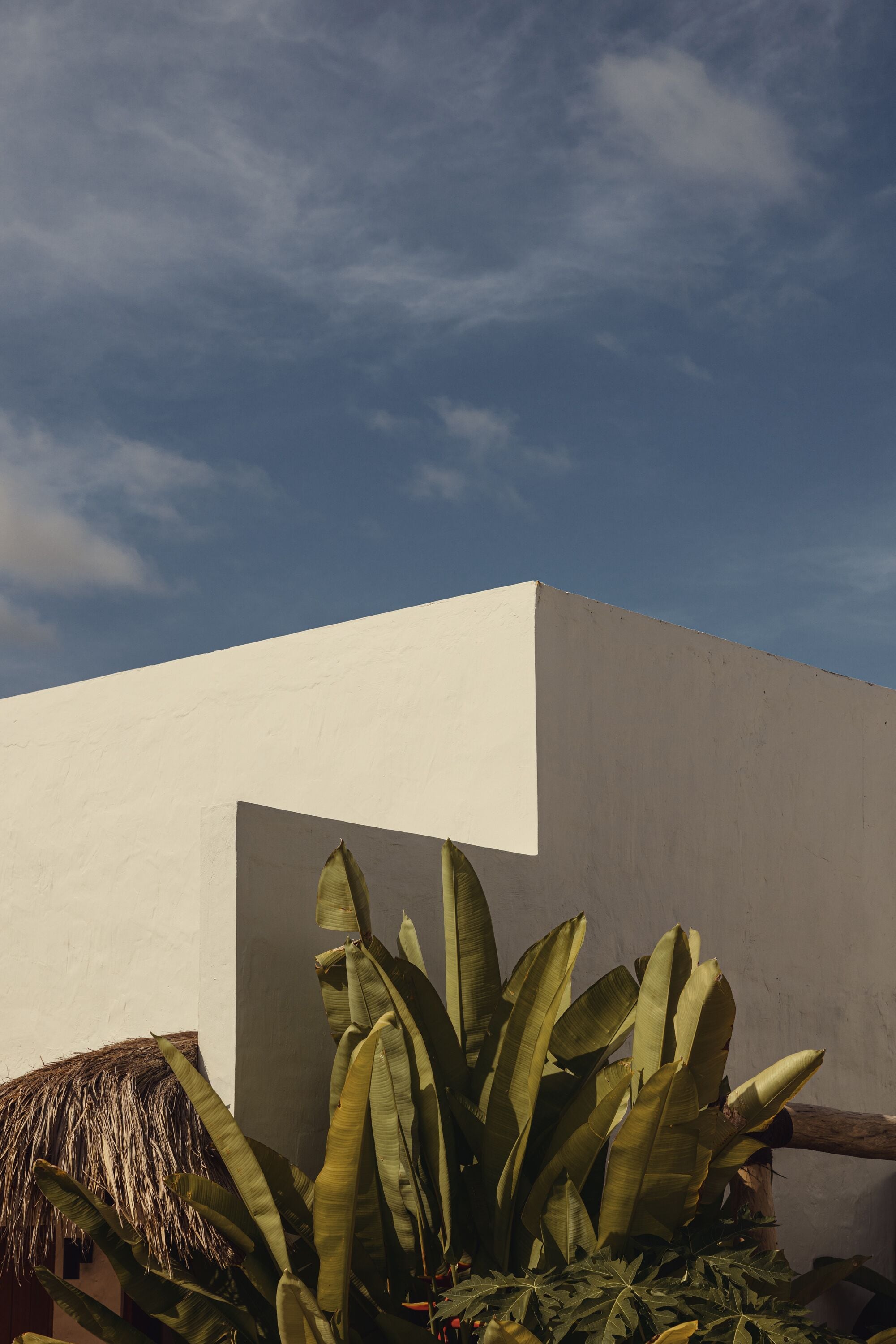 A white building with a thatched roof and banana plants in front.