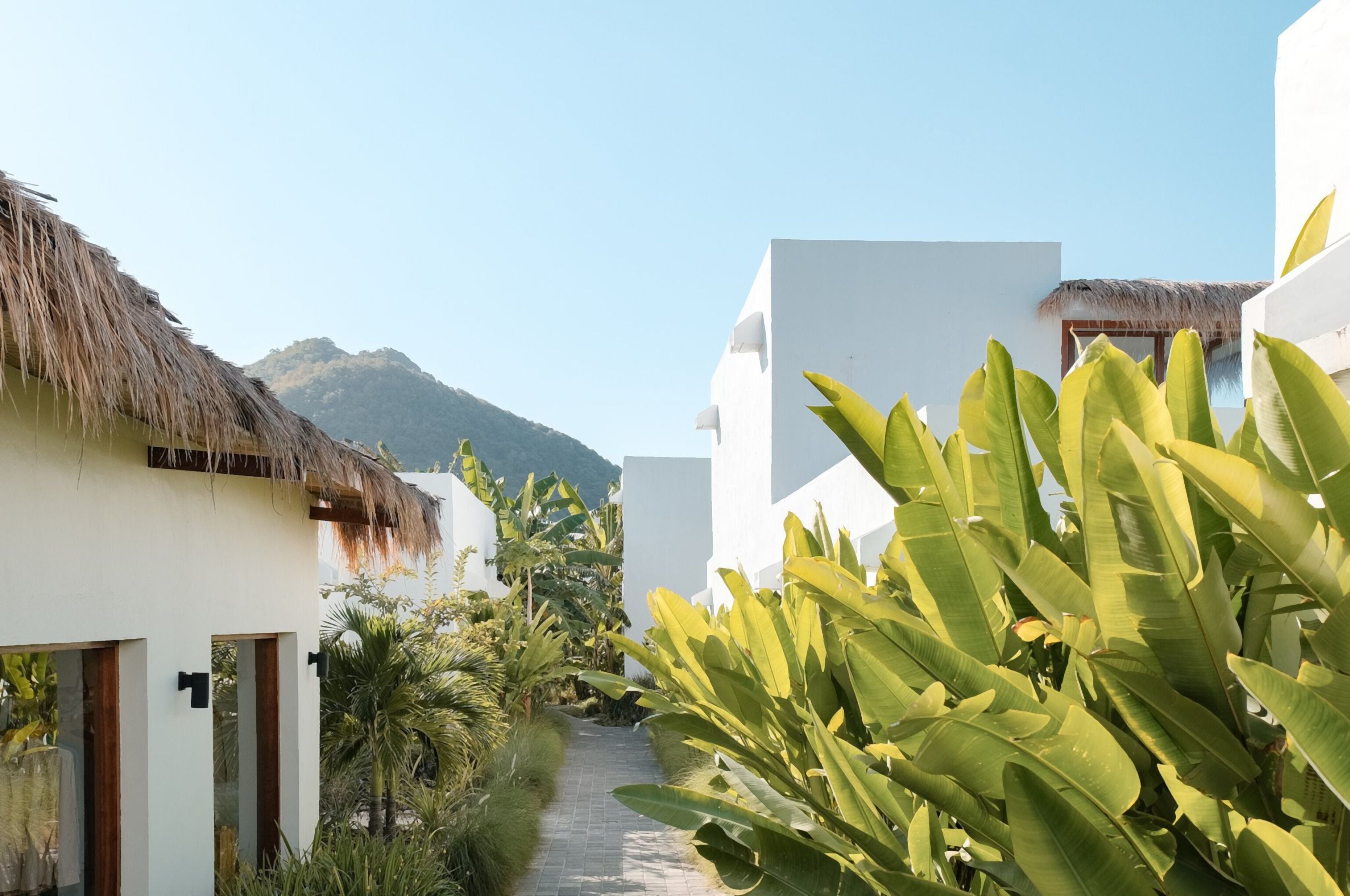 A narrow pathway flanked by white buildings with thatched roofs, leading to a mountain in the background.