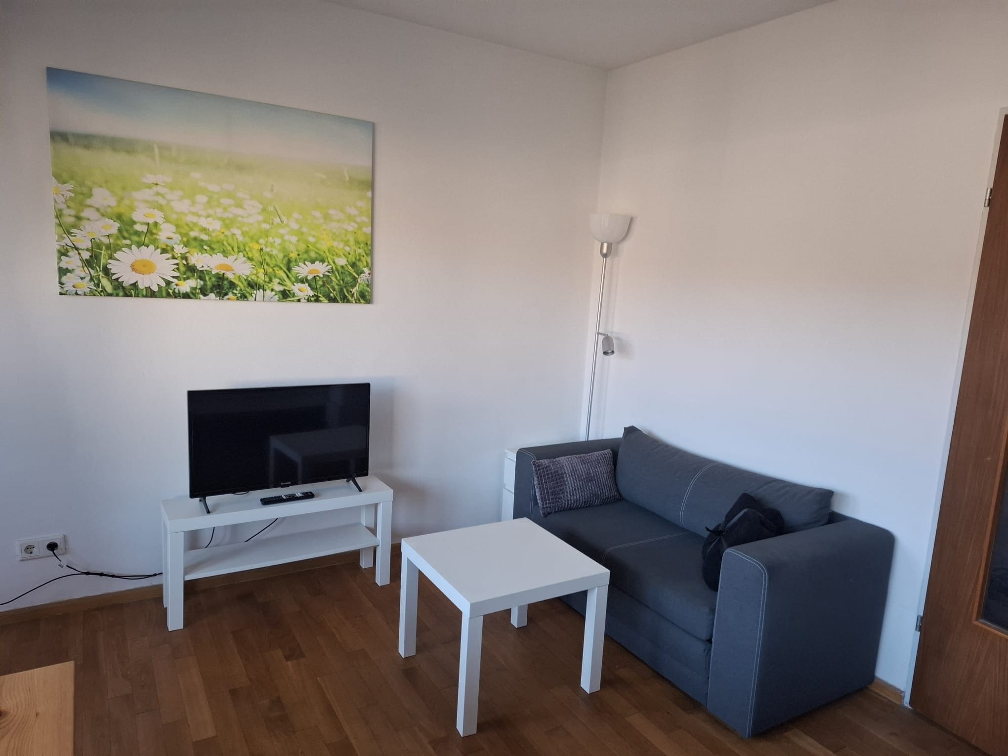 A living room with a flat-screen TV on a white stand, a grey sofa with a pillow, a white coffee table, and a painting of daisies on the wall.