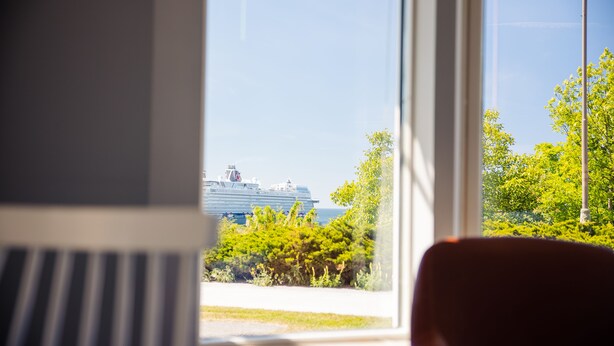 A view of a cruise ship from a window overlooking a grassy area with trees.