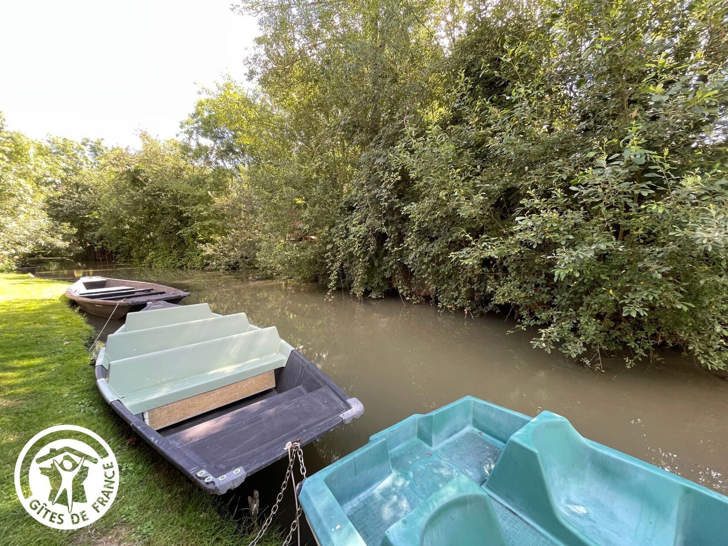A row of boats tied to a grassy bank beside a calm river, surrounded by dense greenery.