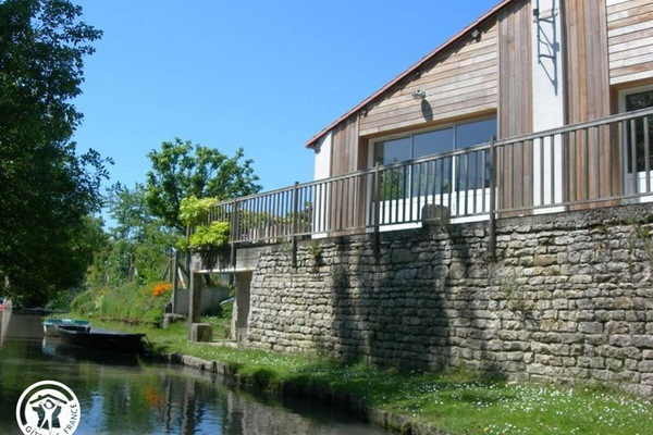 Nymphéa côté canaux