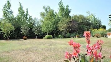 Terrein van de accommodatie