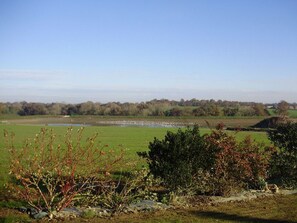 A rural landscape with a pond, trees, and a flock of birds. - Cozy Farmhouse with Private Pond, Terrace, and Ultralight Airstrip Nearby (Vairé)