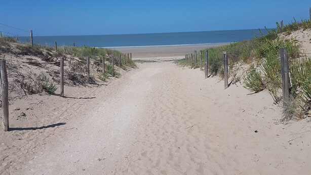 En sti langs en sandstrand med træpæle på hver side, der fører hen mod havet.