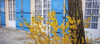 Beachside Contemporary House with Garden and WiFi