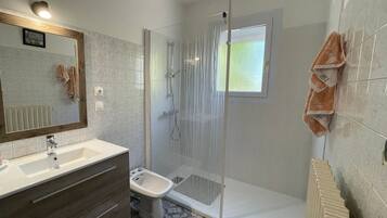 A modern bathroom with a large mirror, a sink, a bidet, and a shower enclosure.