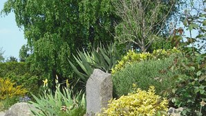 A garden with various plants, rocks, and a metal bucket. - Charming Cottage in Agricultural Hamlet, Near Puy du Fou, with Garden & BBQ (Saint-Michel-Mont-Mercure)