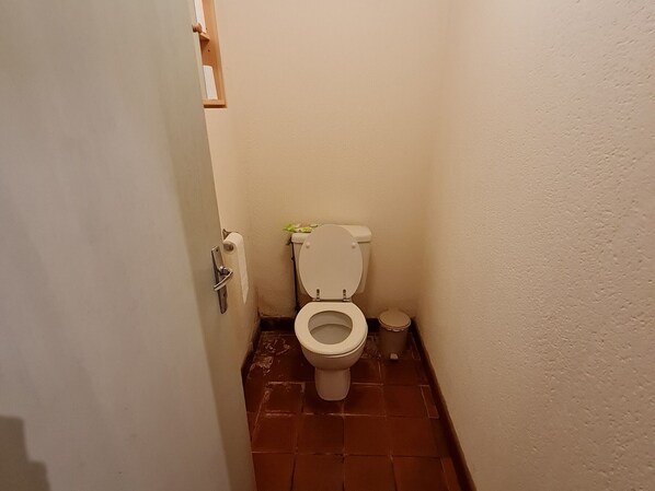 A small bathroom with a toilet, a trash can, and a roll of toilet paper on the wall.