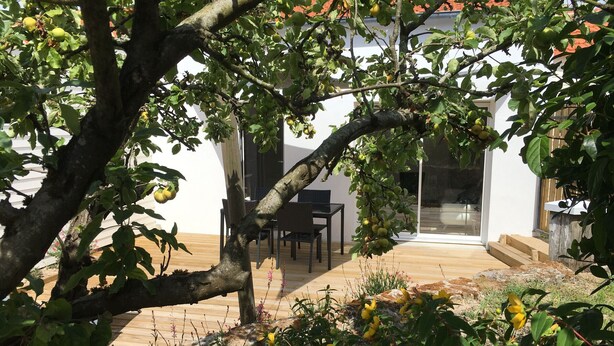 A patio area with a table and chairs, surrounded by greenery and fruit-bearing trees.