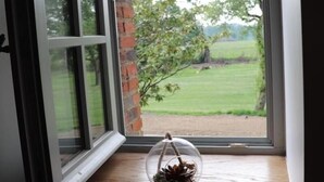 A window with a clear view of a green field and trees outside.