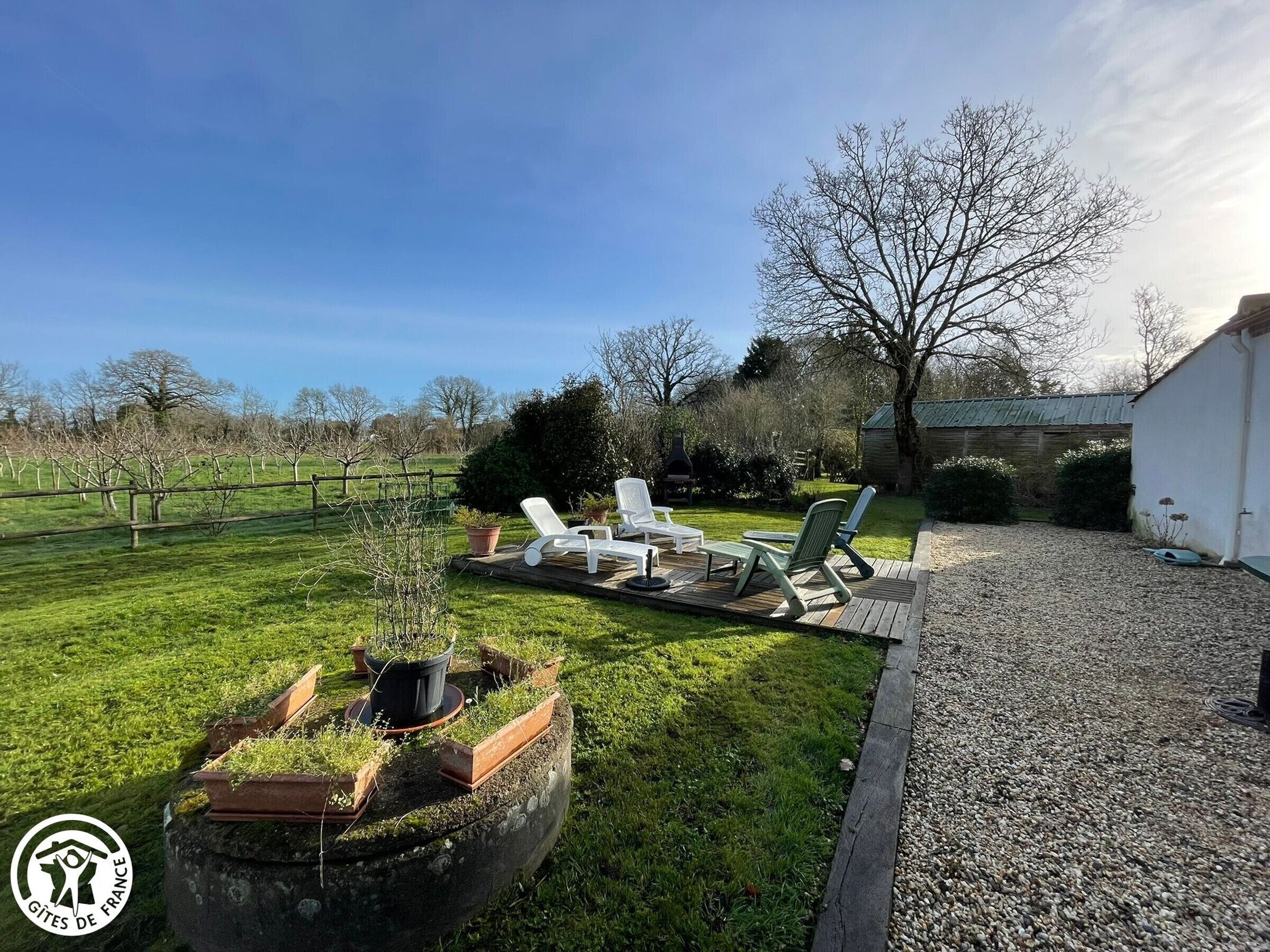 Un espace extérieur verdoyant, aménagé avec des chaises longues, un barbecue et un grand bac à fleurs contenant des plantes.