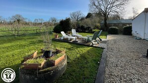 Un espacio al aire libre con césped, sillas de descanso, una parrilla y una jardinera grande con plantas.