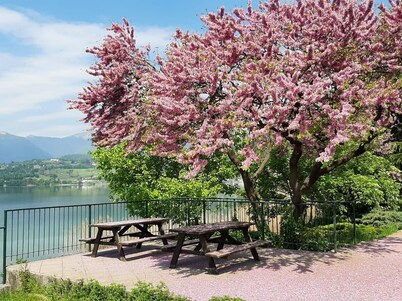 Cerizio House directly on Lake Pusiano