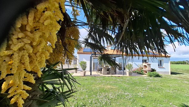 A white house with a tiled roof, surrounded by a well-maintained lawn and a palm tree. - Spacious Farmhouse with Wi-Fi, Terraces, and Lake Access (Brem)