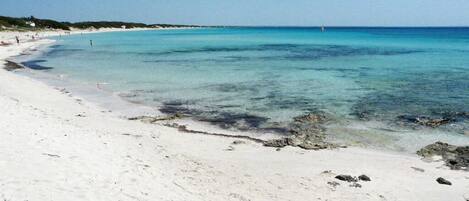 Playa en los alrededores