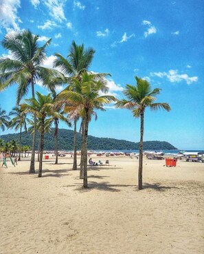 Una playa con palmeras y cielo despejado.