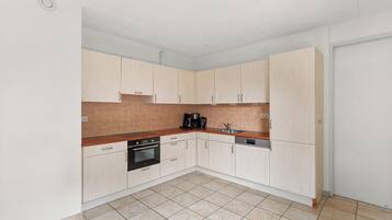 Fridge, microwave, dishwasher