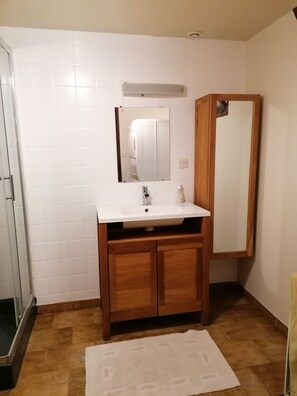 Shower, hair dryer, soap, toilet paper
