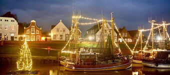 Bummert am Hafen 2