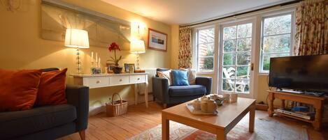 تلفزيون، مشغل دي في دي