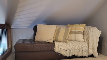 TV, fireplace, books, music library