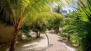 A pathway lined with palm trees and a brick walkway.