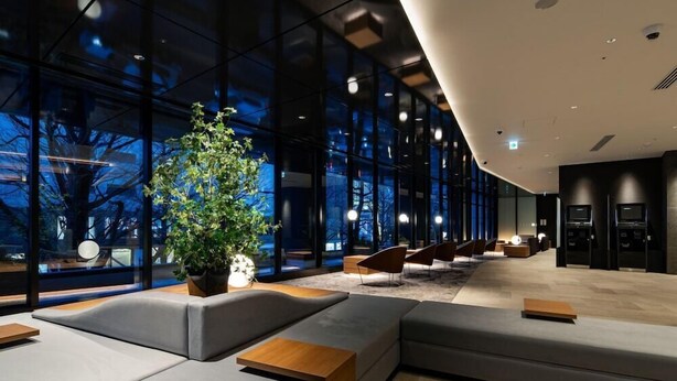 A modern lobby with a large potted plant, grey sofas, and a view of the night sky through large windows.