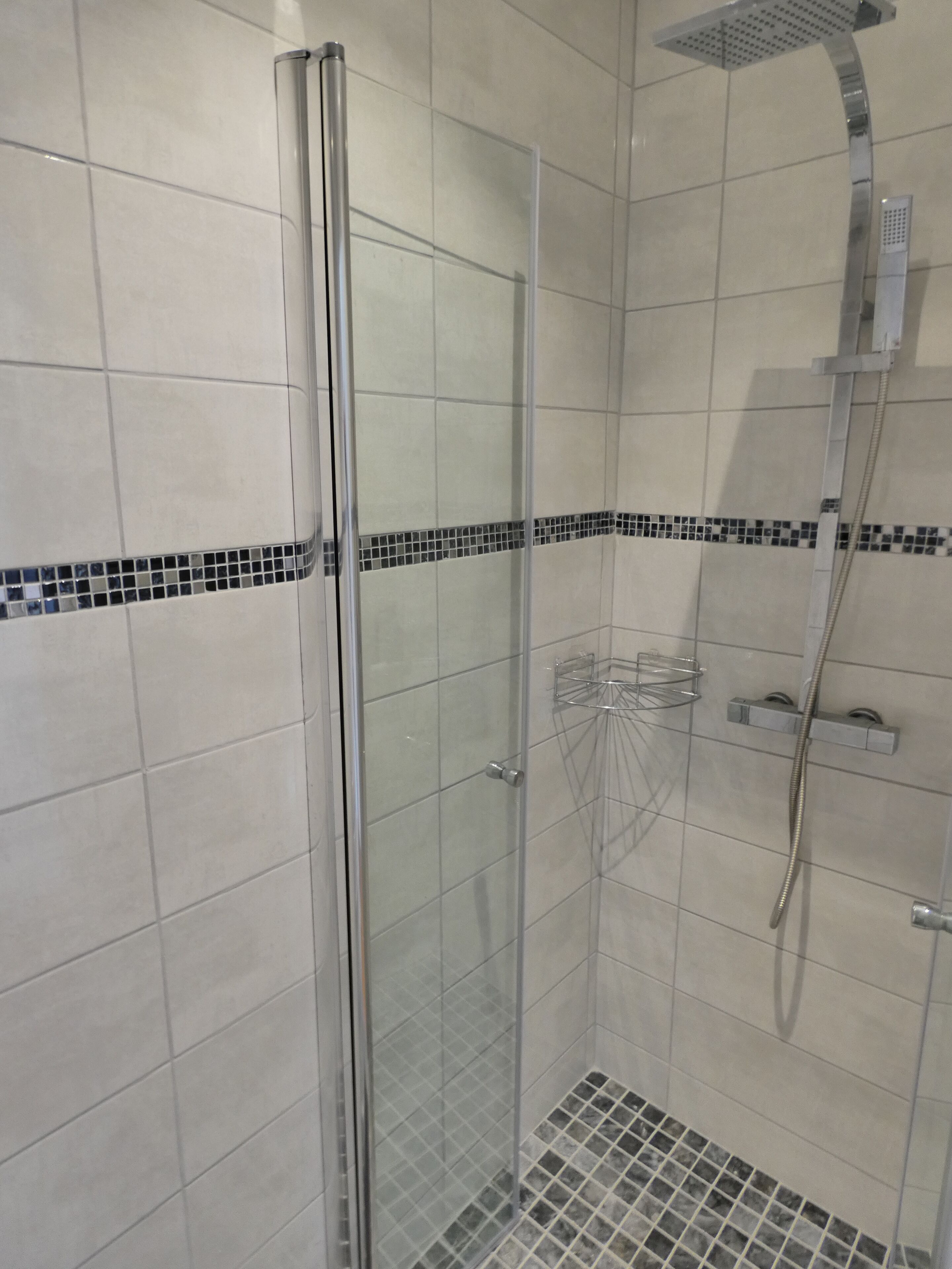 A glass-enclosed shower stall with a tiled floor, a showerhead, and a handrail.