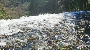 Eine Berglandschaft mit dichtem Wald und einem gefrorenen Wasserfall.