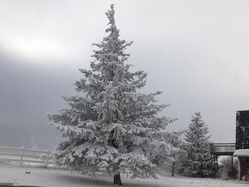 Close - in Rural Studio - Great Star-gazing!