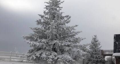 Close - in Rural Studio - Great Star-gazing!