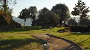 A stone pathway leading to a rustic stone house surrounded by trees and a clear sky.