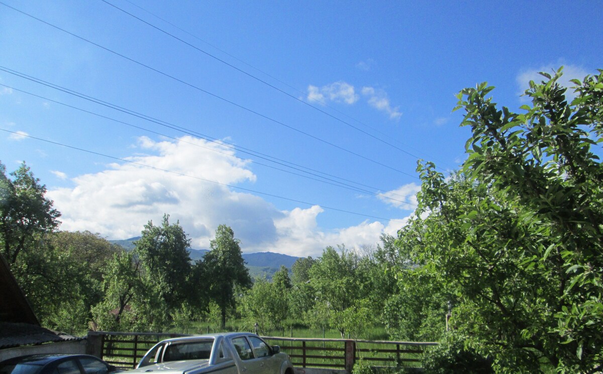 オーナーのプロフィール画像