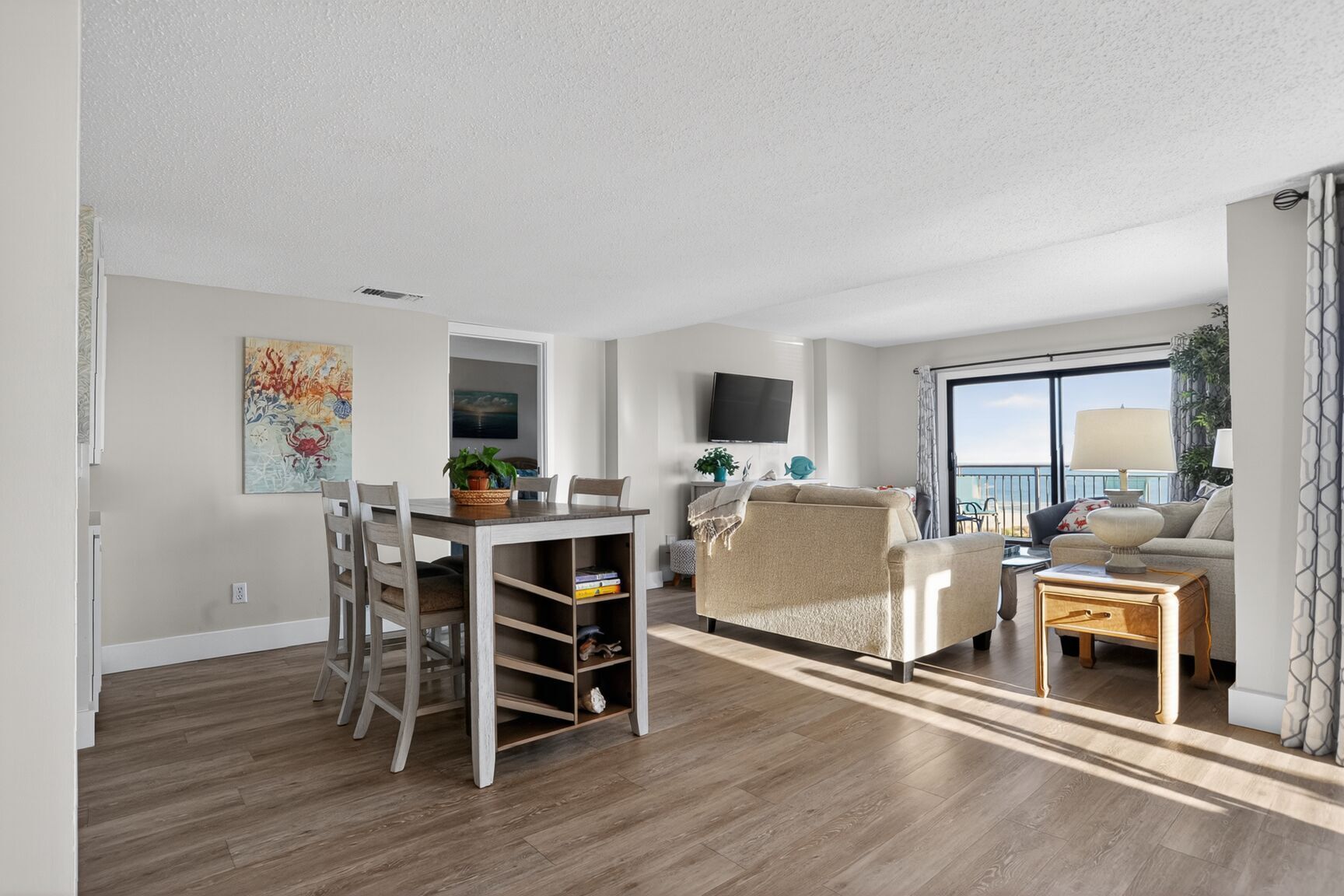 电视、DVD 播放器