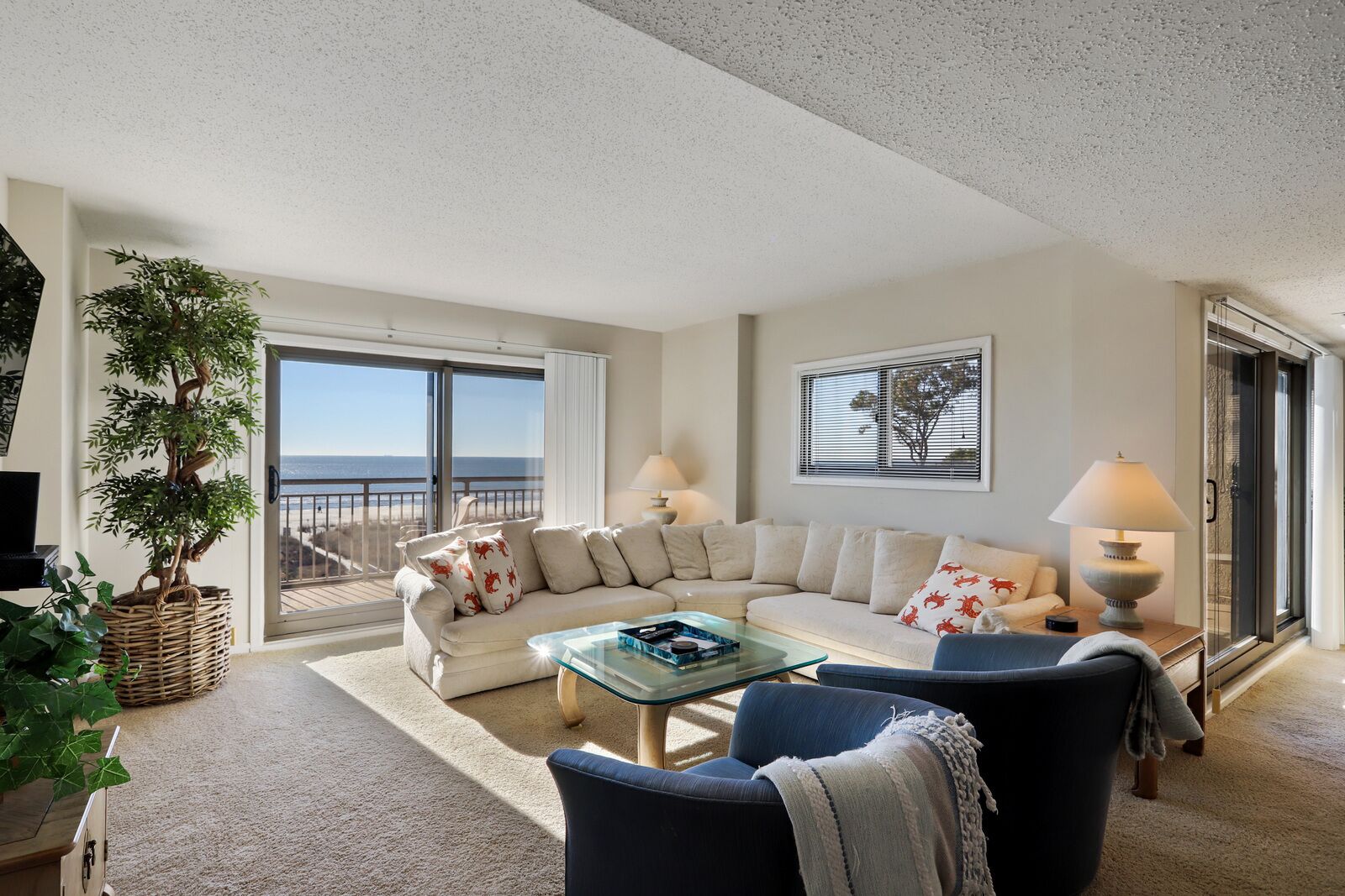 Televisio, DVD-soitin