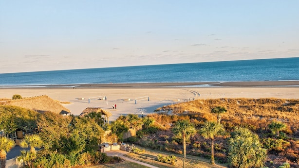 Una playa con una red de voleibol, palmeras y un cielo despejado.