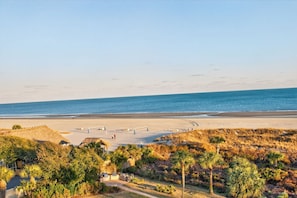 A beach with a volleyball net, palm trees, and a clear sky.