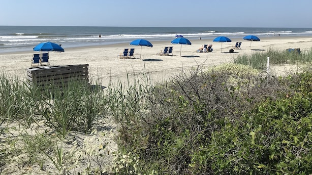A beach with several blue umbrellas and lounge chairs.